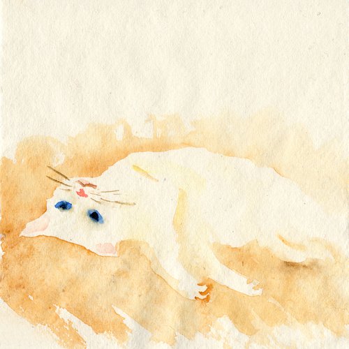White cat on a floor by Yumi Kudo