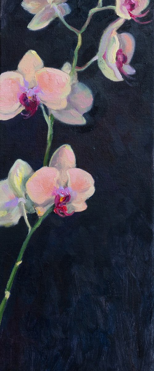 Orchid branch by Ana Delgado