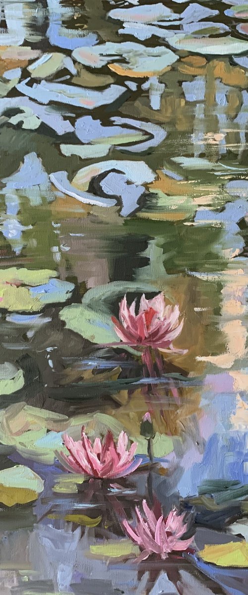 Pond with water lilies. by Vita Schagen