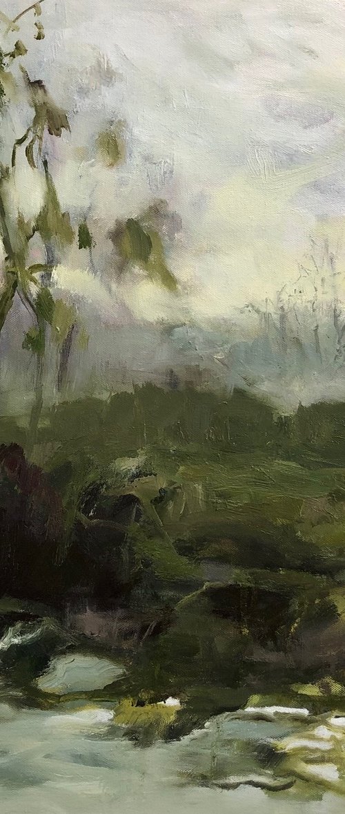 layers of winter by Joanna Farrow