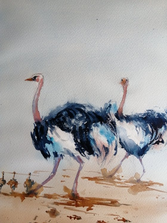 ostriches