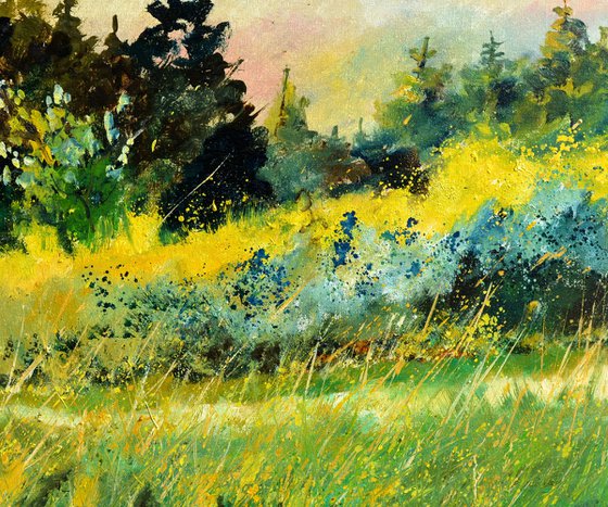 Meadow in my countryside