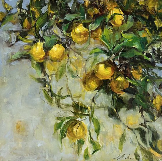 VIBRANT LEMONS - PROVENCE