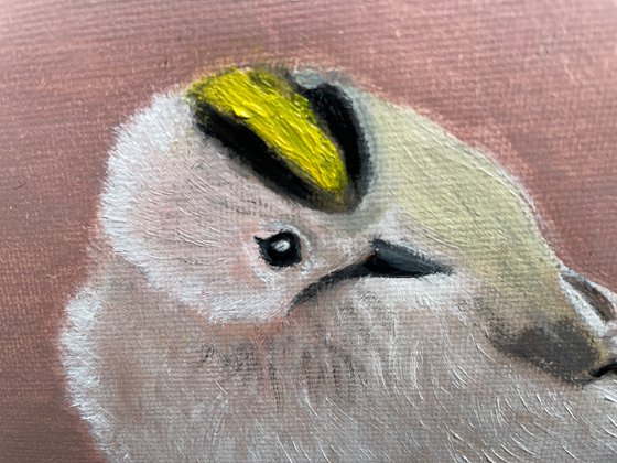 Goldcrest