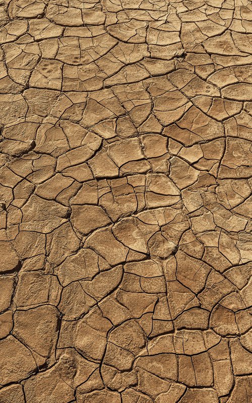 Drought by Lidiya Dmitrieva