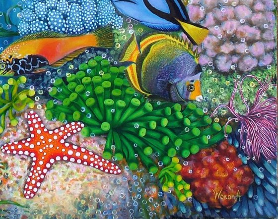 Dream in the Reef