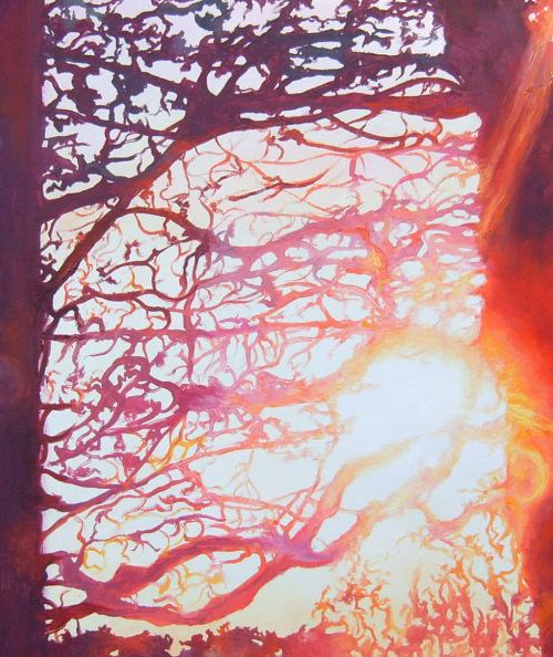 Light reflecting off branches by Richard Freer