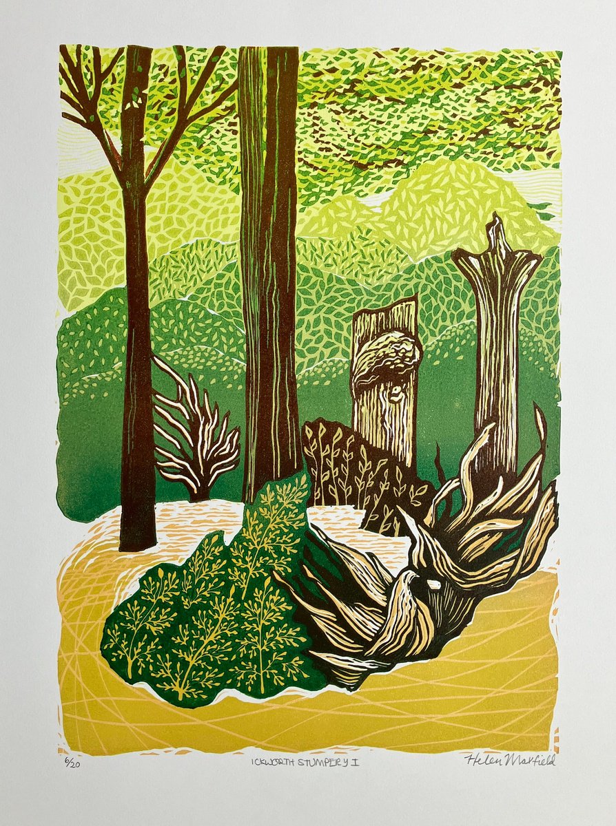 Landscape Linocut By Helen Maxfield, 12 X 16, Ickworth Stumpery I, Original Artwork