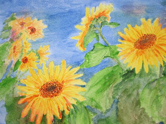 Sunflowers