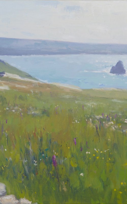 Summer Day, Tintagel, Cornwall by Alex James Long