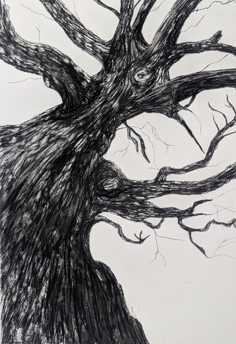 Photorealistic Landscape Charcoal Drawing By Sophie Adair, 22 X 30", Searching, Original Artwork