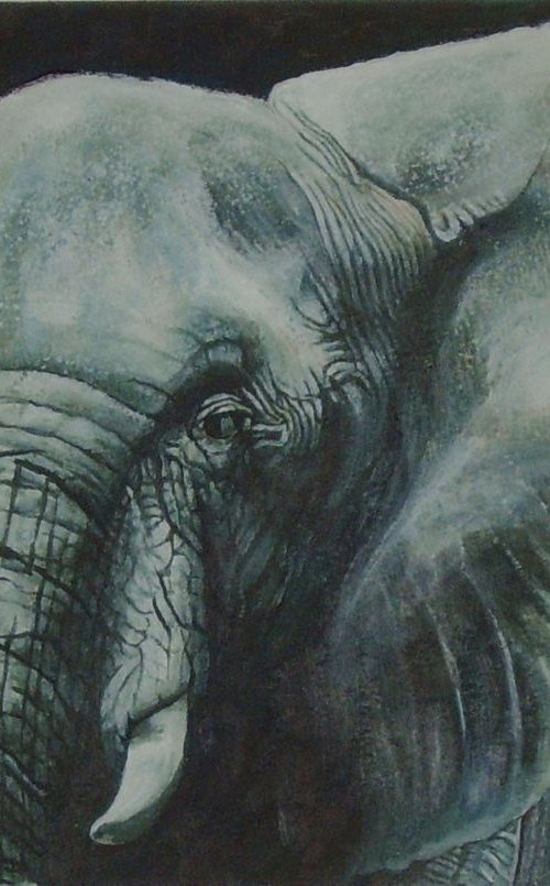 Graceful Elephant by Max Aitken