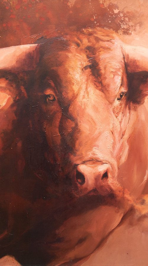 Focused IV by Zil Hoque