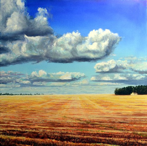 Harvested Cornfield by JON PAUL WILSON