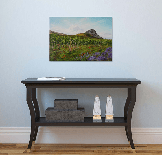 Lavender Field and Vineyard