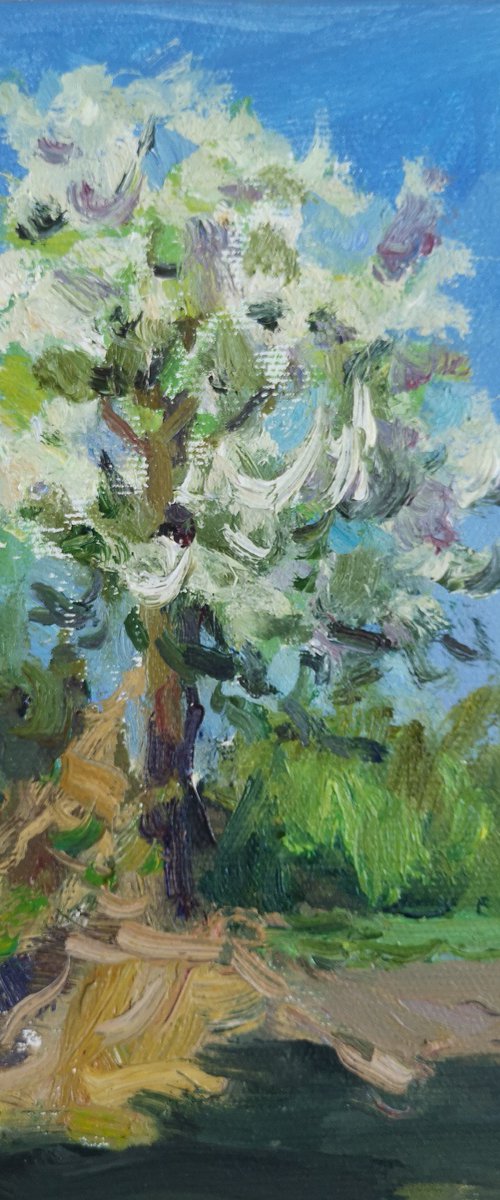 Pear tree by Olga Samar