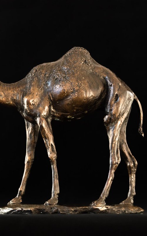 Camel Foundry Bronze sculpture by Tanya Russell