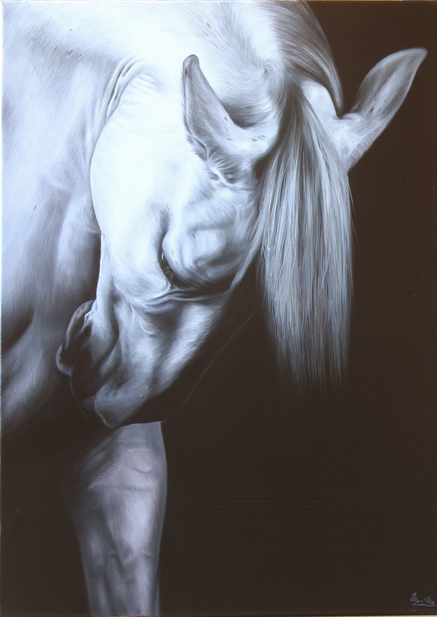 Meek by Marie Madej