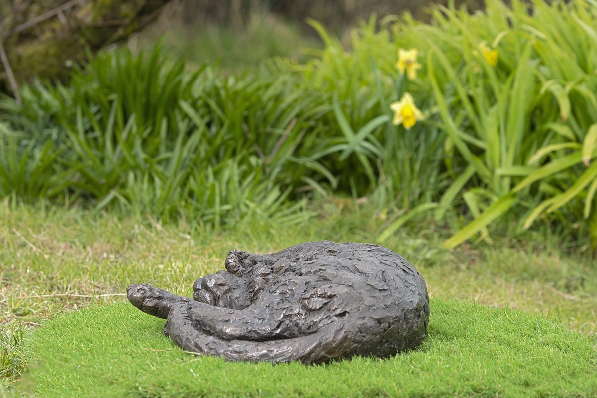 Animal Bronze Sculpture By Tanya Russell, 14 X 14", Curled Cat (Br Sculpture), Original Artwork