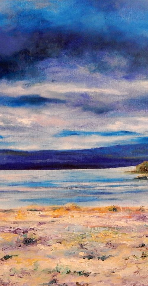 Findhorn Bay by Richard Freer