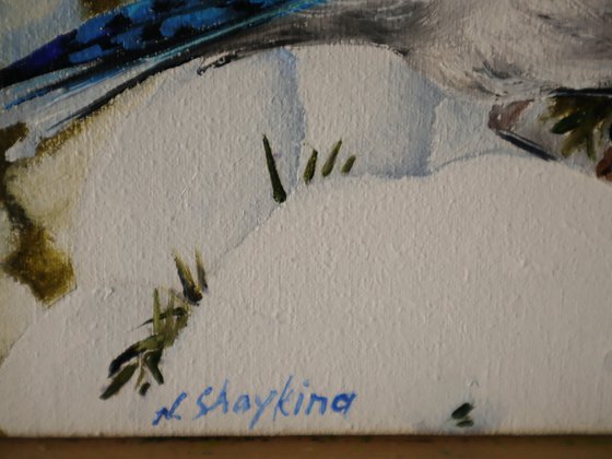 Bird Painting, Blue Jay