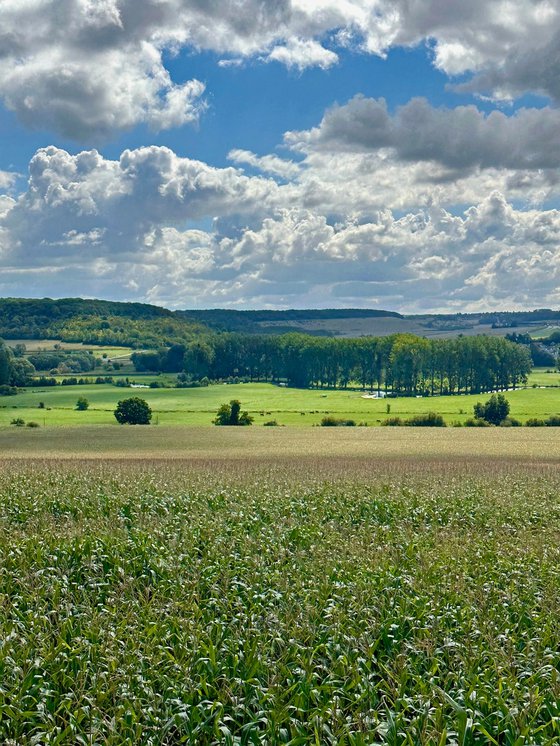 Normandy in Summertime