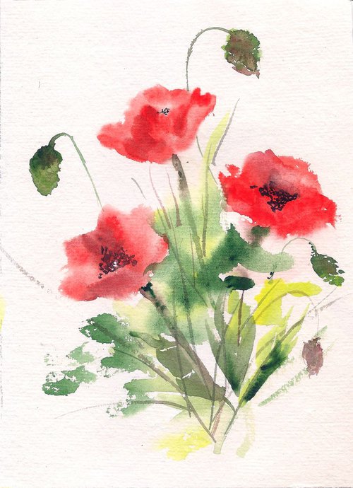 Red Poppies by Asha Shenoy