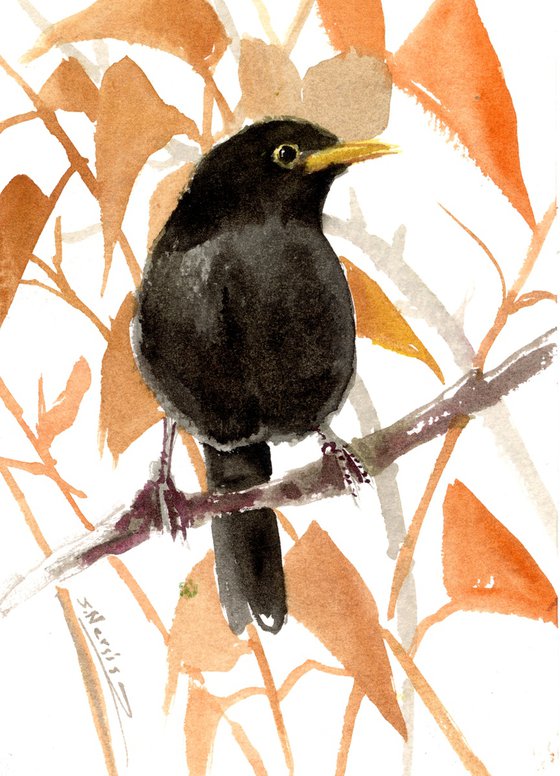 Blackbird watercolor painting