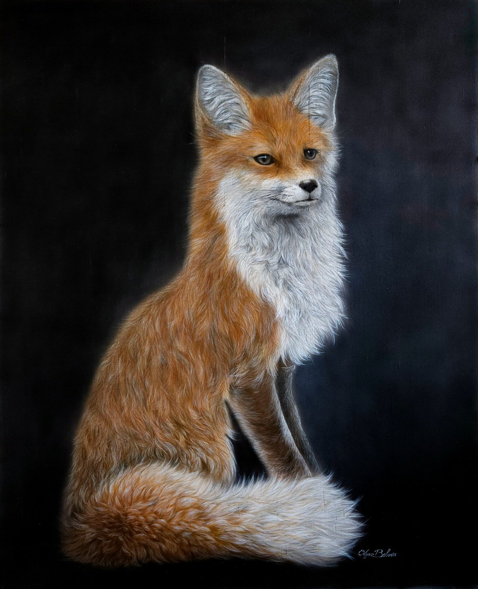Elegance - fox portrait by Olga Belova