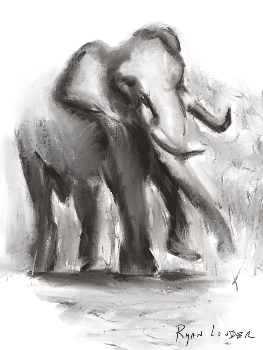 Elephant Vibrations by Ryan  Louder
