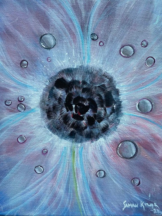 Dew Drops