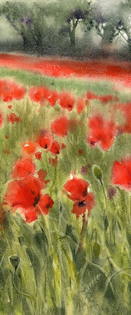 Coquelicot, 1. by Tatyana Tokareva