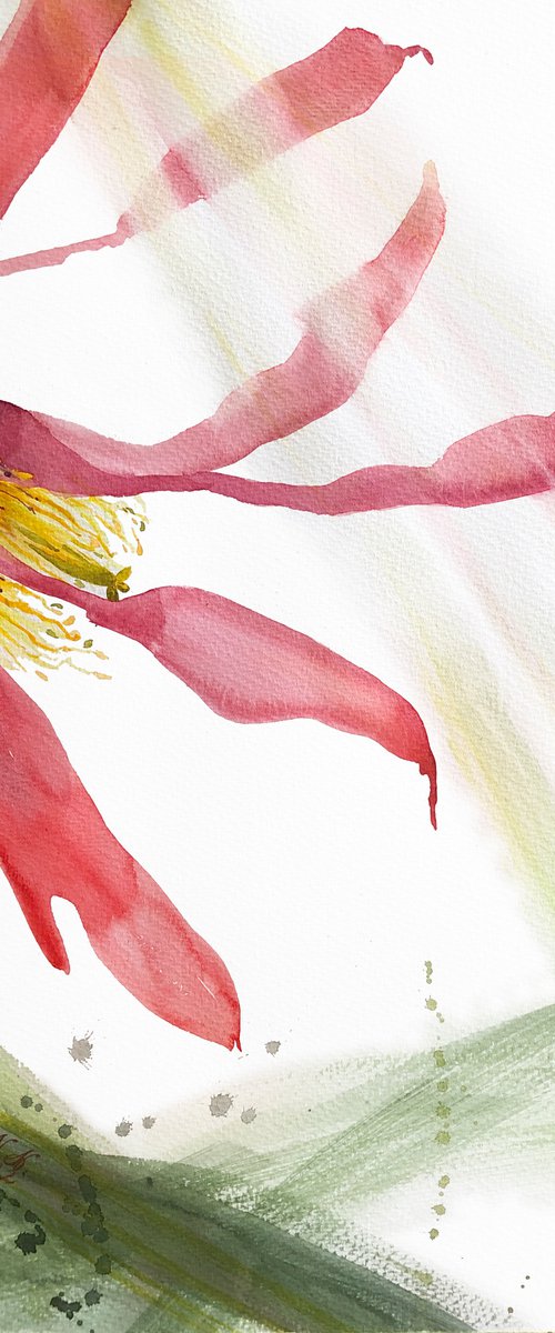 Light. Floral shades. A series of abstract original watercolours. by Nataliia Kupchyk