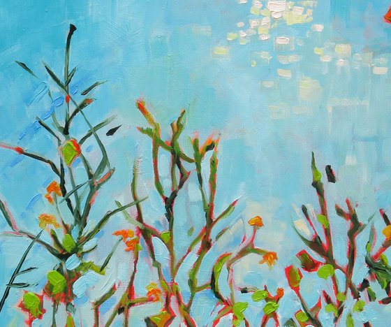 Turquoise Summer Bay