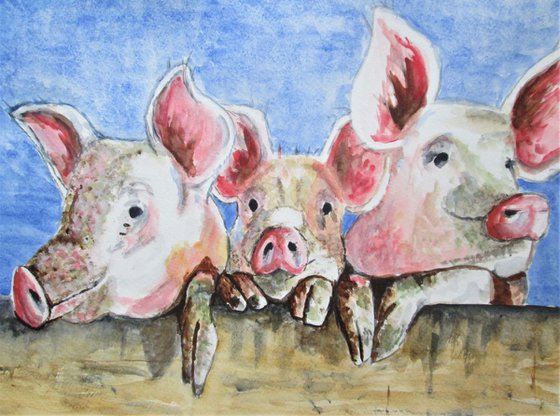 Three Little Pigs