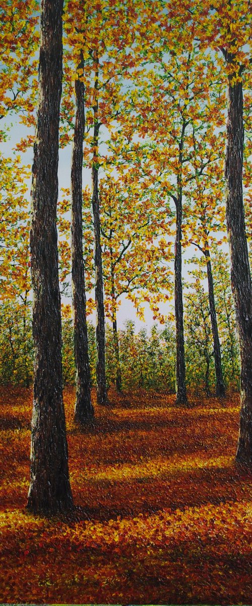 Light of Autumn by Hazel Thomson