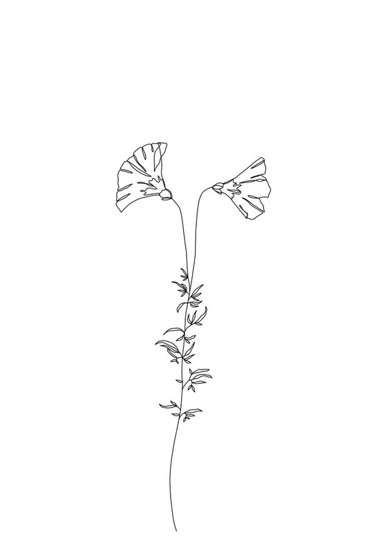 Wild flower illustration - Kate - Art print