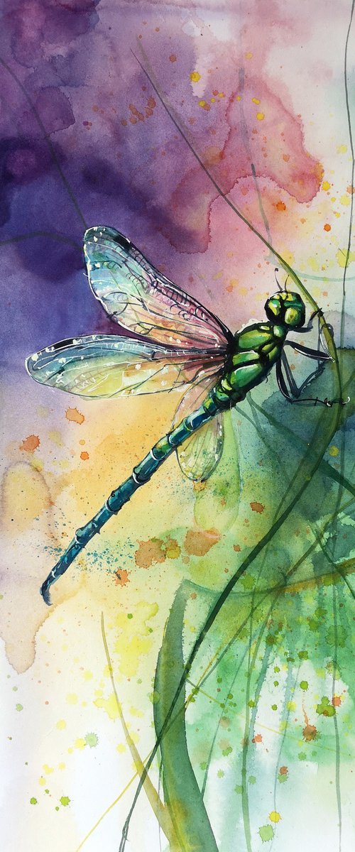 Dragonfly by Olga Beliaeva Watercolour