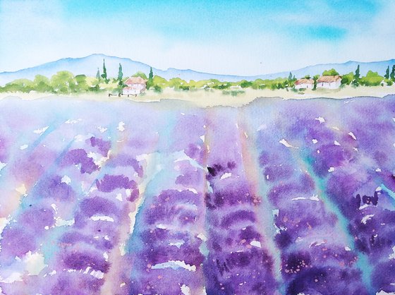Lavender field landscape watercolor illustration
