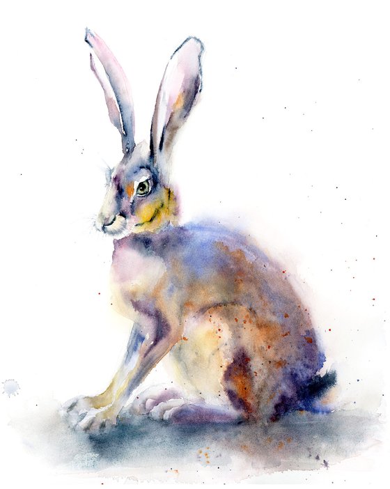 Rabbit