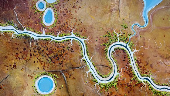 Veins of The Land