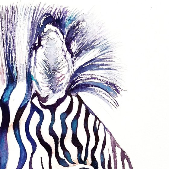 Blue Shimmer _Zebra