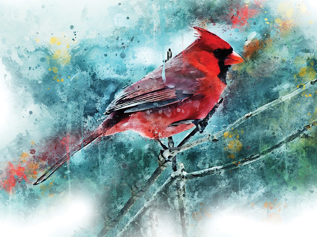 Abstract Botanical Print By Javier Diaz, 80 X 60, Cardenal, Original Artwork