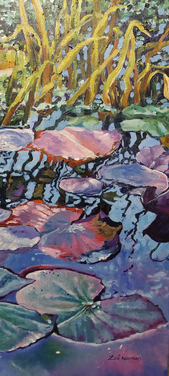 Waterlilies on the Pond