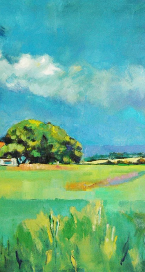 Field near Ford, Sussex. by Andre Pallat