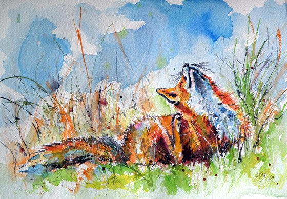 Red fox resting II