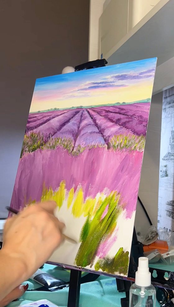 Lavender Field