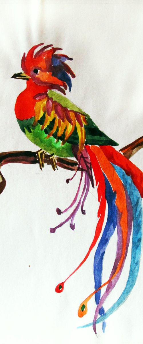 Magic bird by Kateryna Bortsova