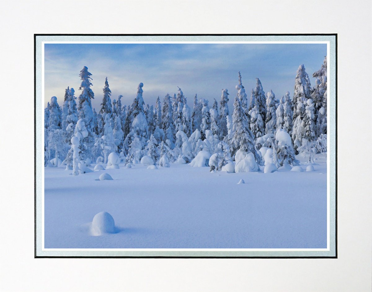 Photorealistic Landscape Photograph By Robin Clarke, 14 X 11", Finland Snow Forest Two, Original Artwork