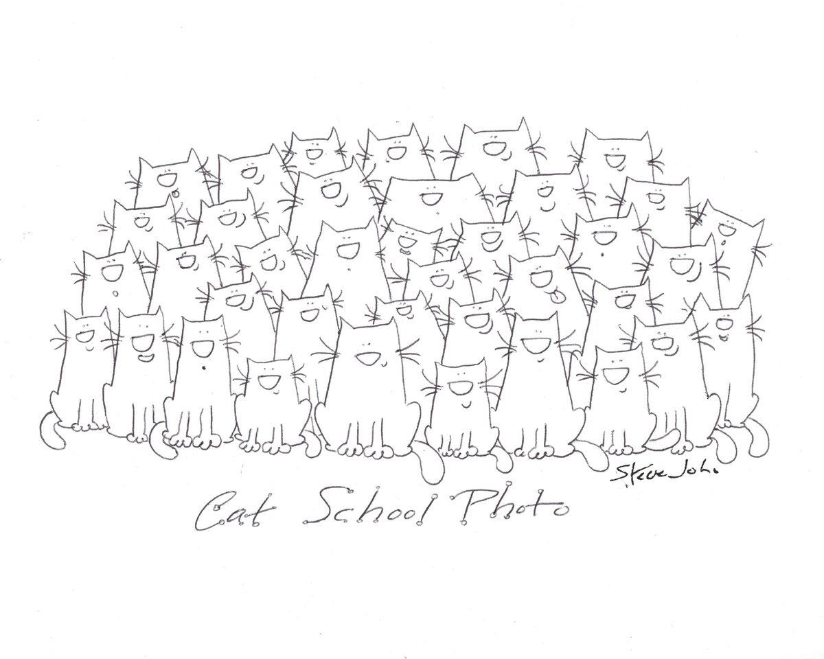 Cat School Photo. Cartoon by Steve John
